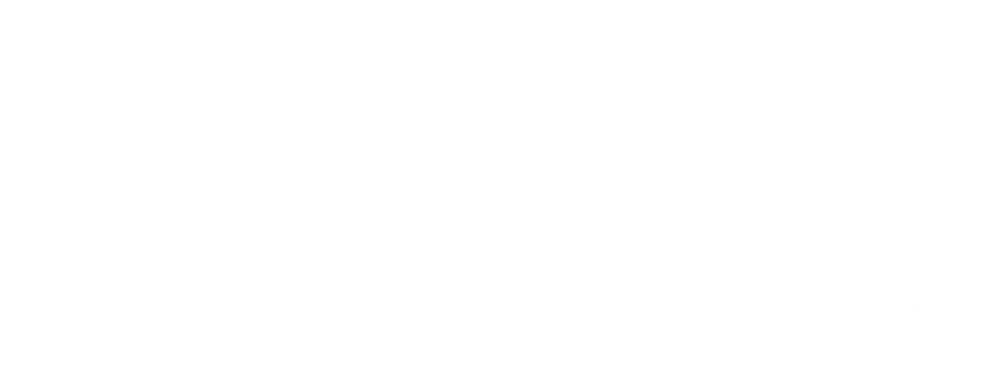 Salisbury Symphony Orchestra