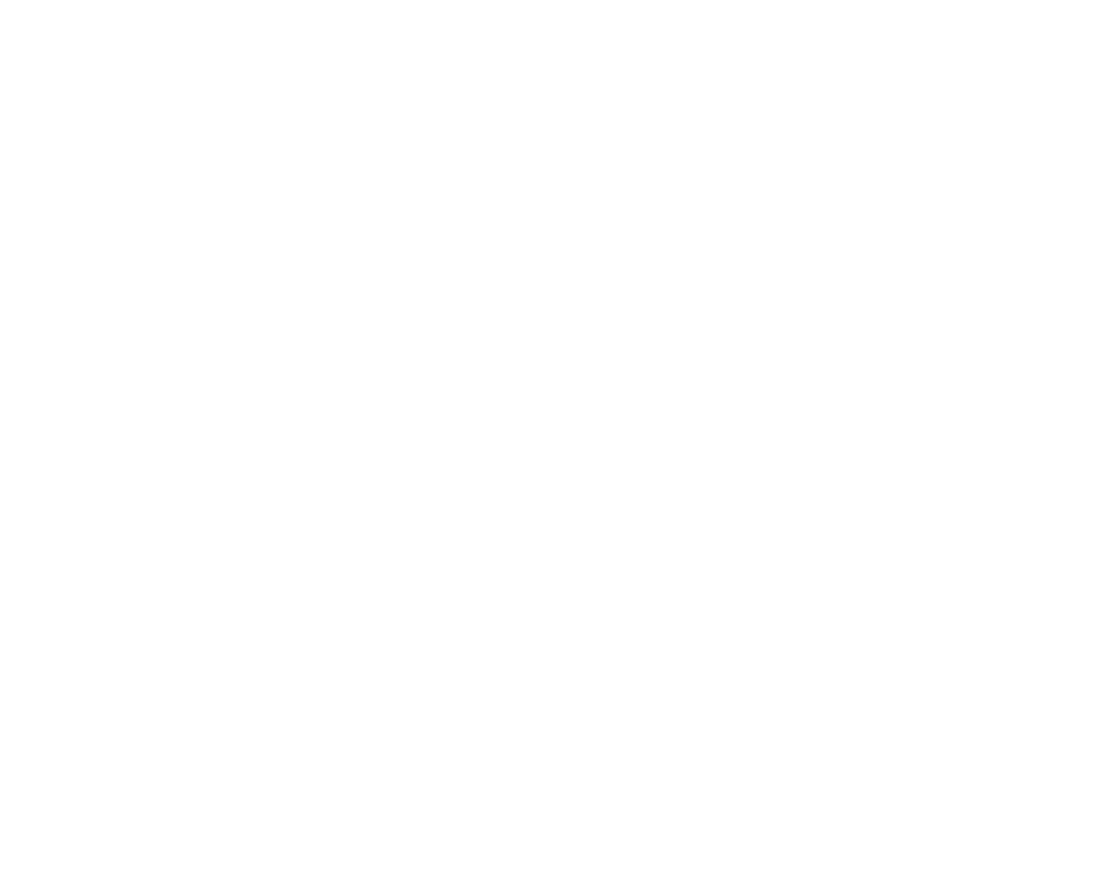 Home-Holidays-Logo