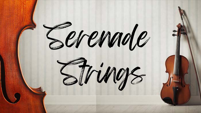 serendade-strings